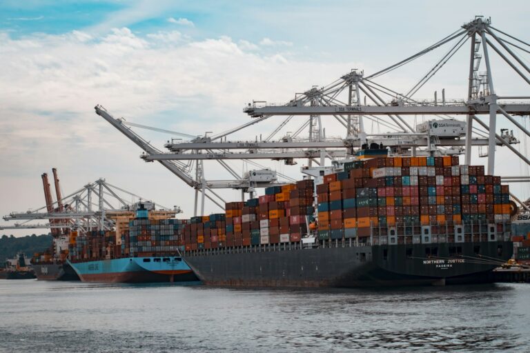 Container ships docked at a port for sea freight shipments